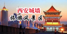 点位盘源码中国陕西-西安城墙旅游风景区